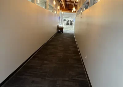 Professional House Cleaning